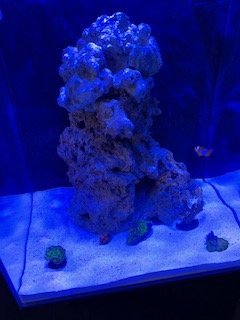 IMG_2207.jpg IMG_2207.jpg