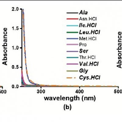 Absorption-spectra-of-a-Charged-amino-acids-b-Uncharged-amino-acids-in-deionised_Q640.jpg