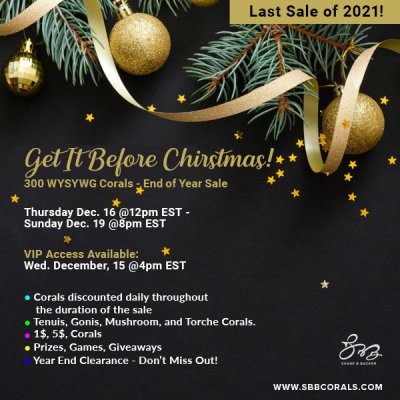 SBB_Holiday Last Sale 2021 600x600_FINAL.jpg