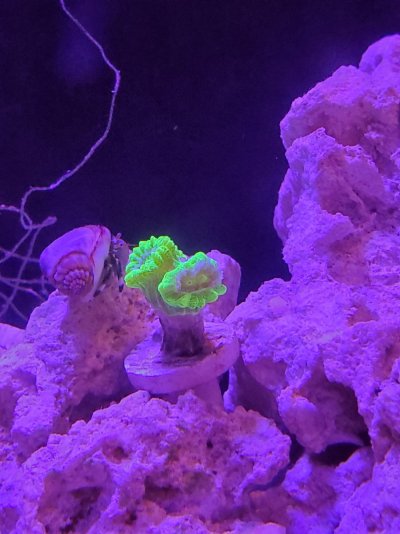 20211211_202930.jpg
