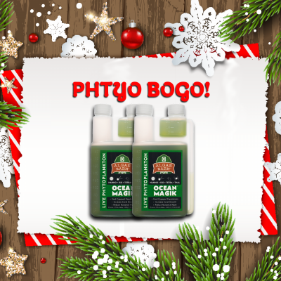 Phyto BOGO Dec2021.png