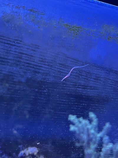 60223D0F-3615-4126-973E-5C0E6284AE72.jpeg