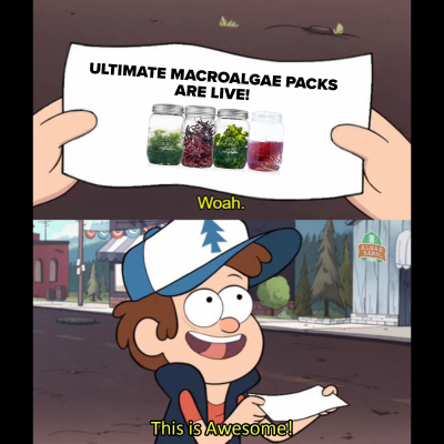 Macro packs (1).png