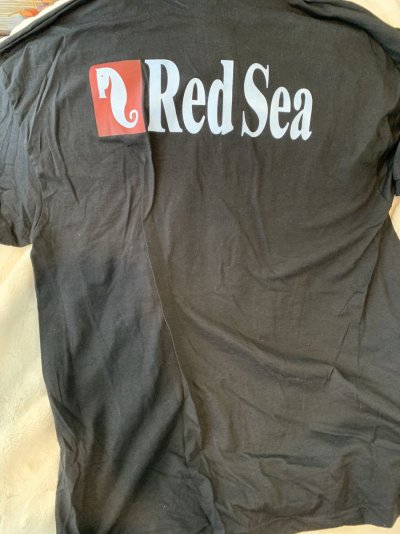 Red Sea 5 of 5 collared short sleeve shirt - back.JPG