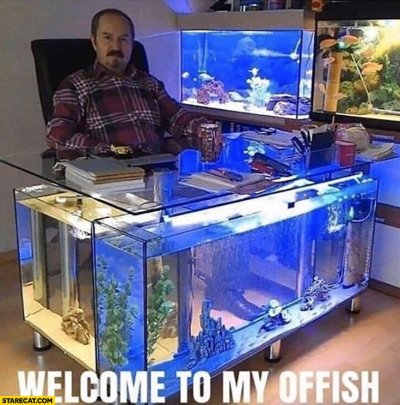welcome-to-my-offish-office-full-of-aquariums.jpg