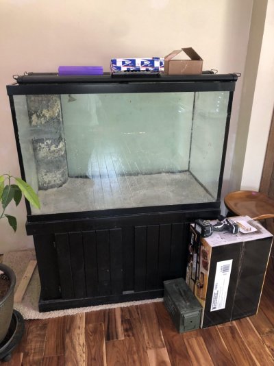 My tank.jpeg My tank.jpeg