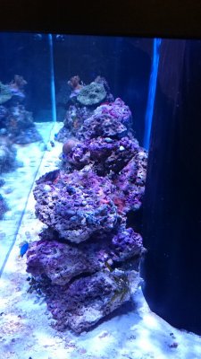 tmp_DSC_0302-1666485808.JPG