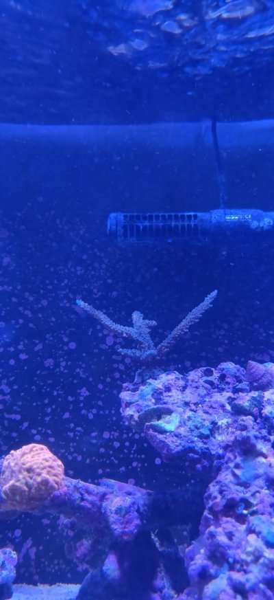IMG_20220105_170108.jpg