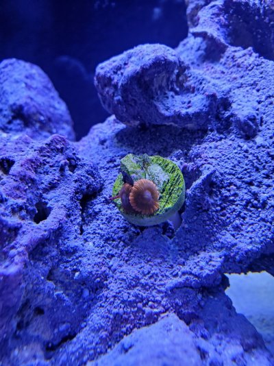 20220130_115405.jpg