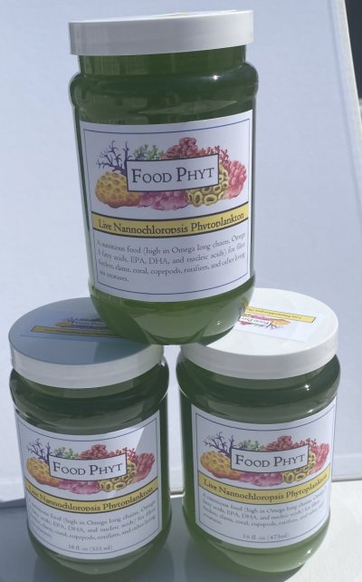 Food Phyt - Quality Live Phyto!  FREE Shipping!