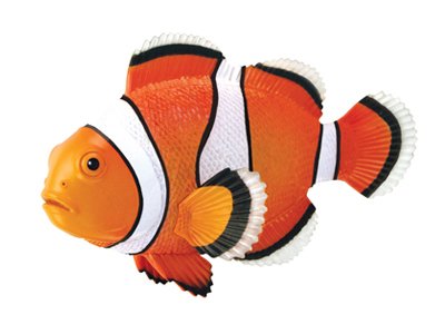 4d-puzzle-sea-world-clownfish-26543photo.jpg