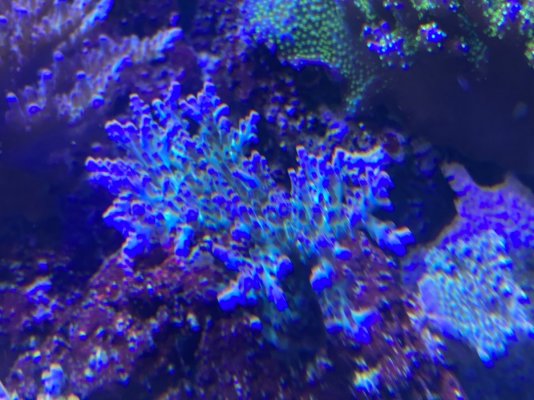 00C8008F-1849-4F0E-BC36-B9A796A139A9.jpeg