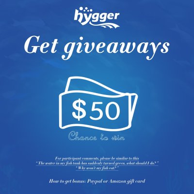hygger-giveaway.jpg