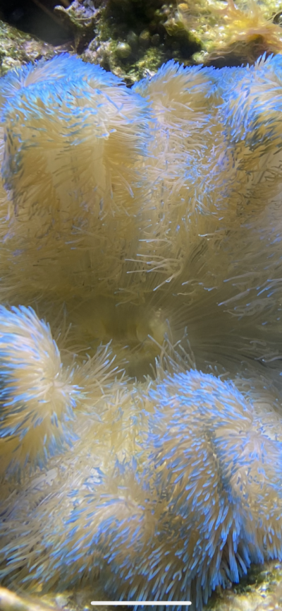 1F2F2404-50E9-4CE3-8852-F92C0D049546.png