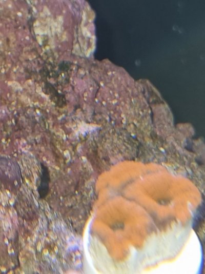 20220410_163415.jpg
