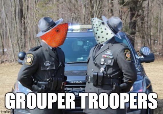 polyppalgroupertroopers.jpg