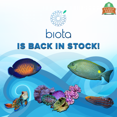 biota back in stock.png