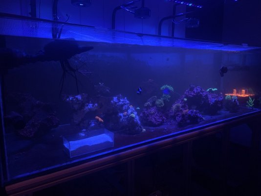 F3E021AD-7C4F-4169-915D-BCF4C4B62333.jpeg