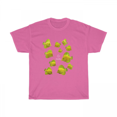 shirt.png shirt.png