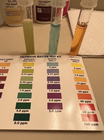 test kit.jpg test kit.jpg