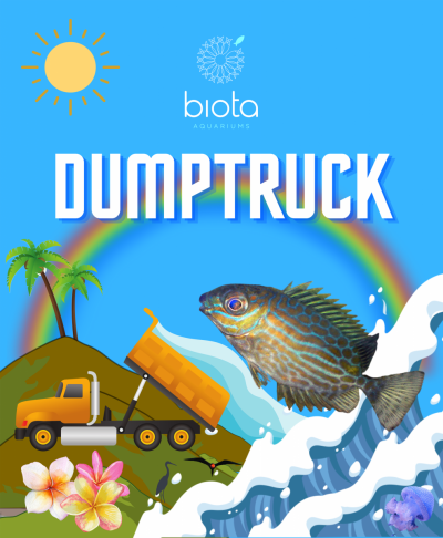 Dumptruck small.png Dumptruck small.png