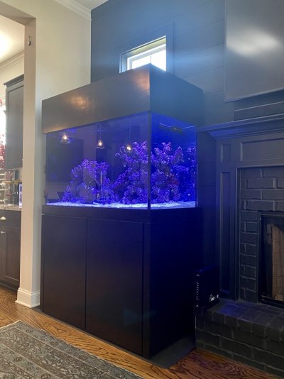 140 G Reef-Ready, Fully Loaded, Neptune Apex Automated, Complete Aquarium