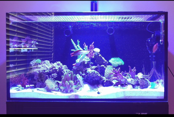 Screenshot_20220514-102723_(1).png