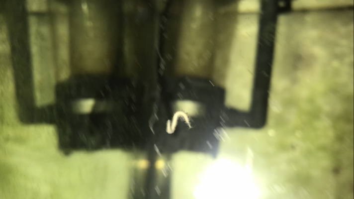 CC7B05F5-CE3F-4FCB-9573-32874FA3B7A5.png CC7B05F5-CE3F-4FCB-9573-32874FA3B7A5.png