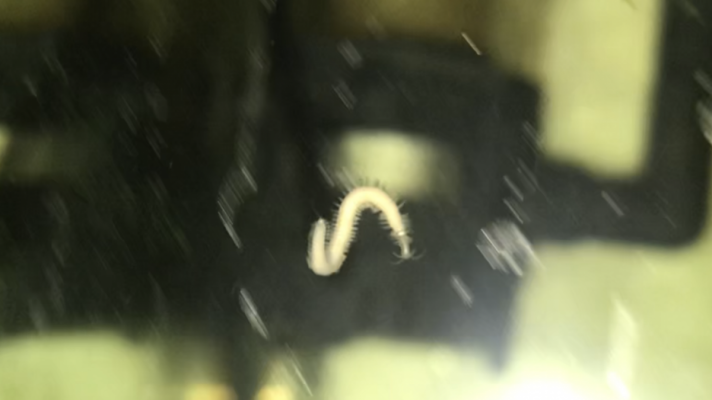 9E76E0AA-1B1E-44A5-BF70-7B2A68741C80.png 9E76E0AA-1B1E-44A5-BF70-7B2A68741C80.png