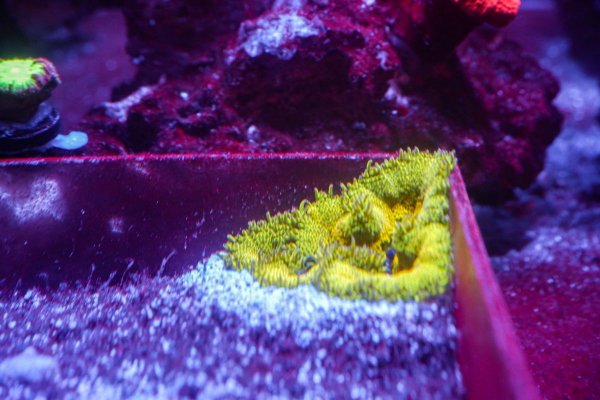 DSCF4409.jpg