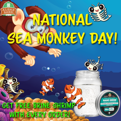 Sea Monkey Day.png