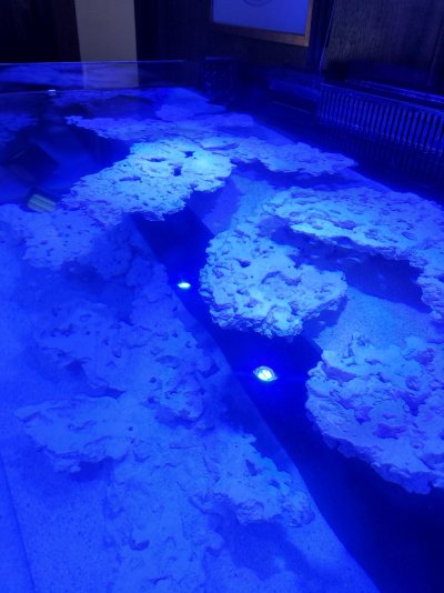 20220403_113145.jpg