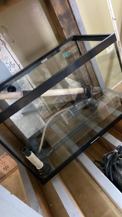 30g sump.jpg 30g sump.jpg