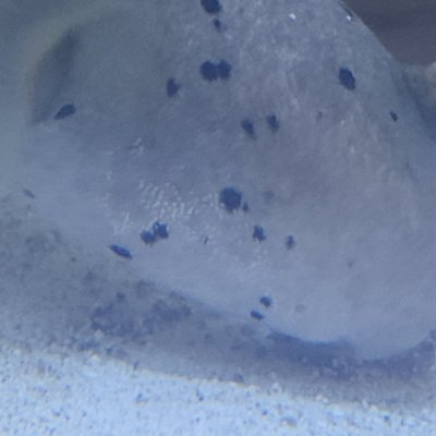 20220519_202316.jpg