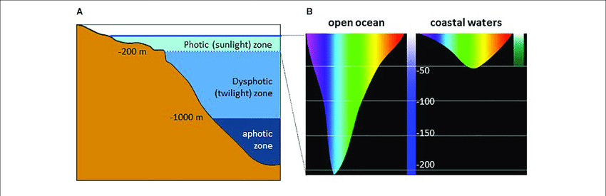 A-Penetration-of-light-into-the-water-column-and-B-illustration-of-the-depth-at.png
