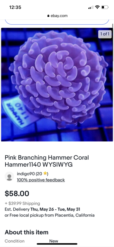 D08F7FC7-C233-4E23-82B5-4608B750DA59.png D08F7FC7-C233-4E23-82B5-4608B750DA59.png