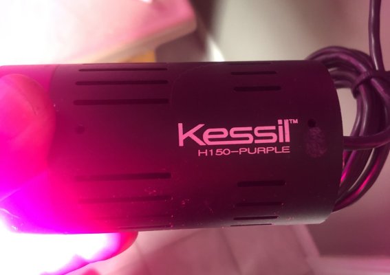 Kessil H150 Purple, Jebao auto dosing pump, SWC extreme 250 Skimmer