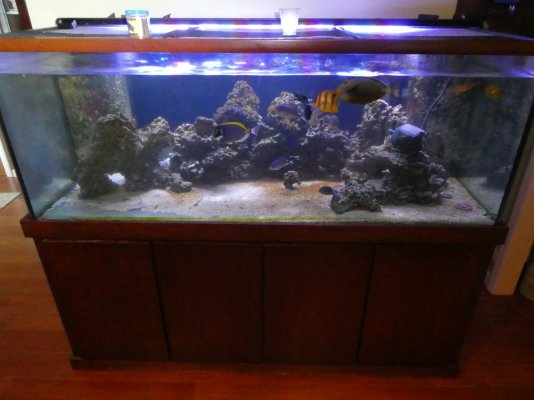 Large tank & stand