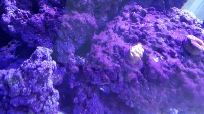 20160206_135802.jpg