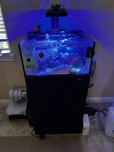 Neglected tank for sale