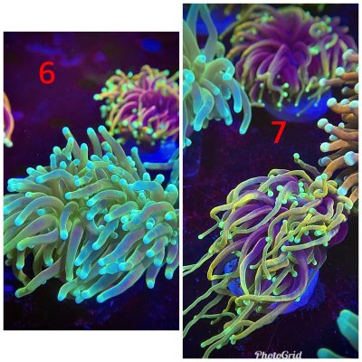 E40CDB84-2739-4C7C-B215-51394F62B083.jpeg E40CDB84-2739-4C7C-B215-51394F62B083.jpeg