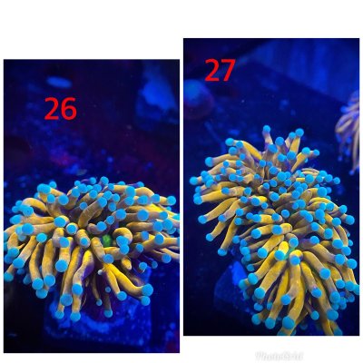 A2F5E245-6D29-4BCA-BCDB-59298B300676.jpeg A2F5E245-6D29-4BCA-BCDB-59298B300676.jpeg