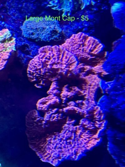 IMG_5666.JPG IMG_5666.JPG