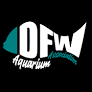 dfwaa logo.png