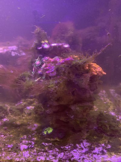 IMG_5686.jpg IMG_5686.jpg