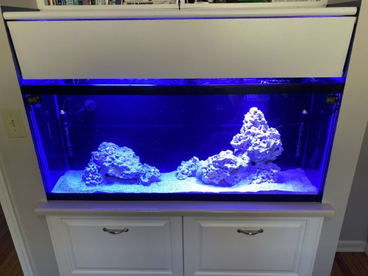 Aquascape.JPG