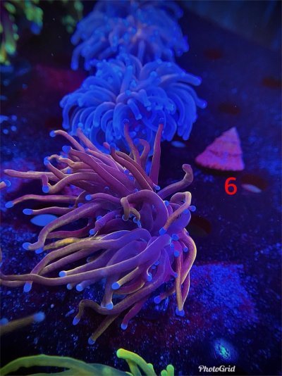 A5BF8597-562D-4C0E-A6AA-96D6E00A1815.jpeg A5BF8597-562D-4C0E-A6AA-96D6E00A1815.jpeg