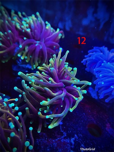 D0777AA0-0E97-428C-8FC3-302E041EEA7F.jpeg D0777AA0-0E97-428C-8FC3-302E041EEA7F.jpeg