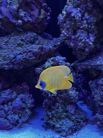 IMG_1035.jpg IMG_1035.jpg