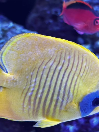 IMG_1040.jpg IMG_1040.jpg